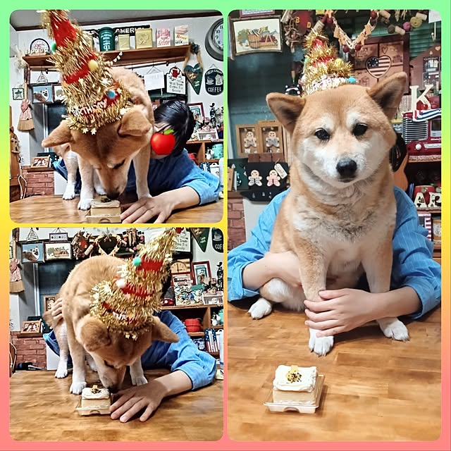 nanaさんの実例写真