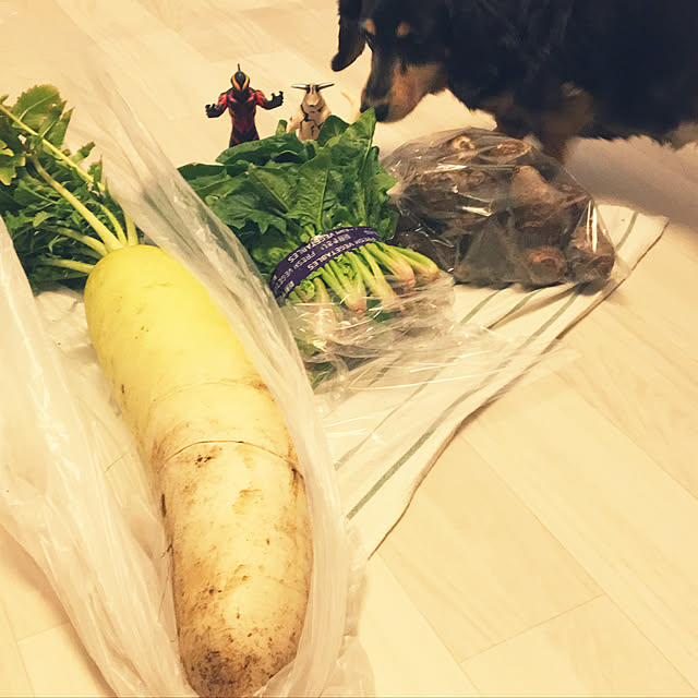 ohanaさんの実例写真