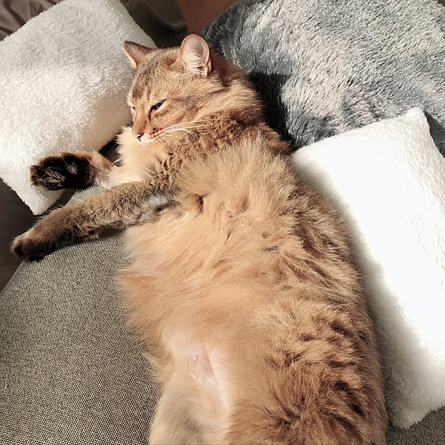 Yumiさんの実例写真