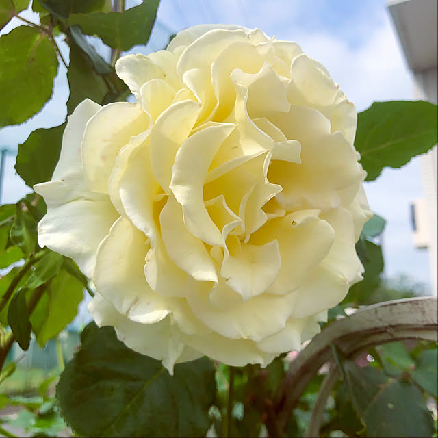 tomoさんの部屋