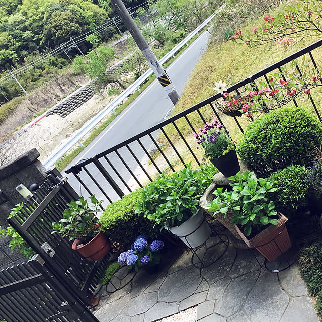 yukariさんの実例写真
