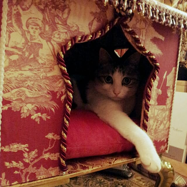 emmyyさんの実例写真