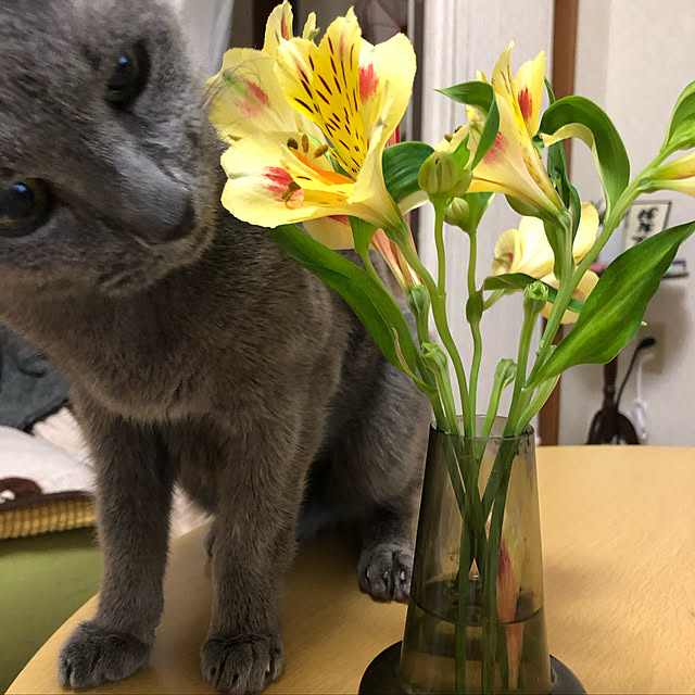 masami5805さんの実例写真