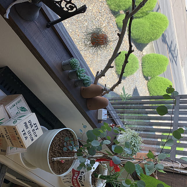openaim2さんの実例写真