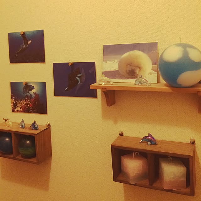 mamさんの実例写真