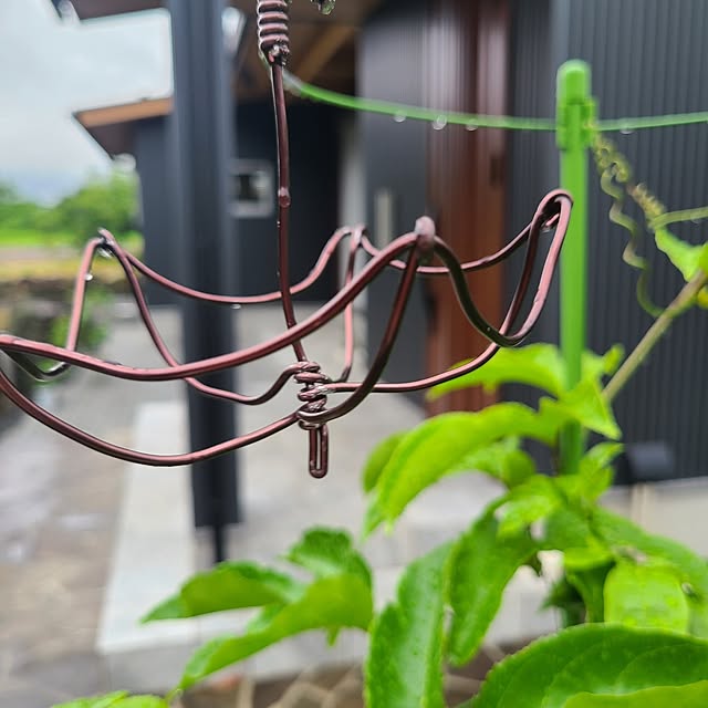 Rubiconさんの部屋