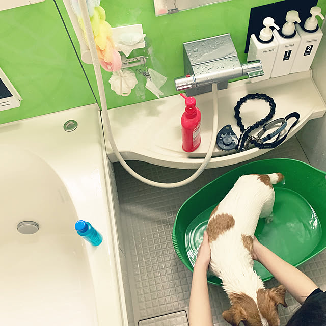 kittyさんの実例写真