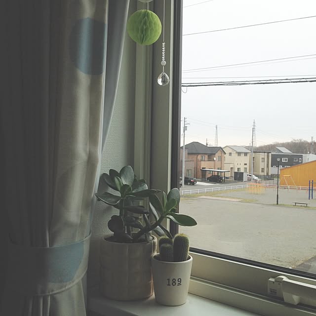 minminさんの実例写真