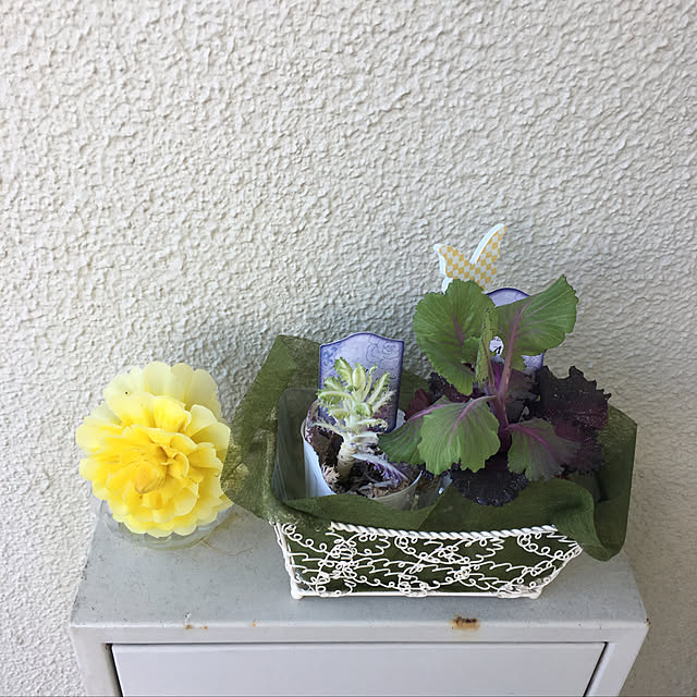 MARIRINさんの実例写真