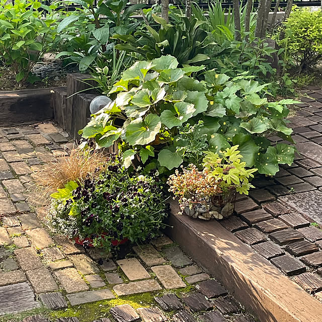 nobikoさんの実例写真