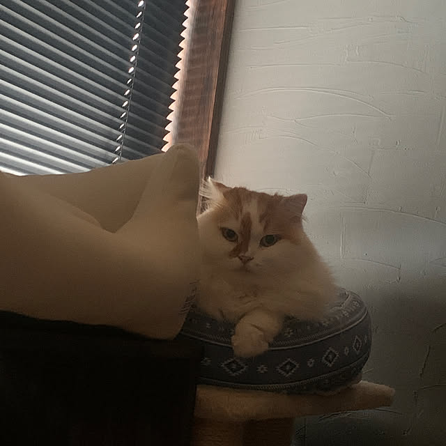 keiさんの実例写真