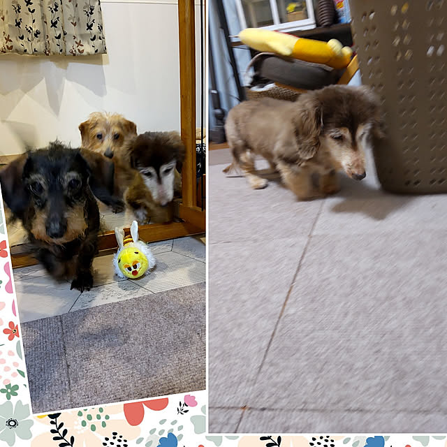 chocococoaさんの実例写真