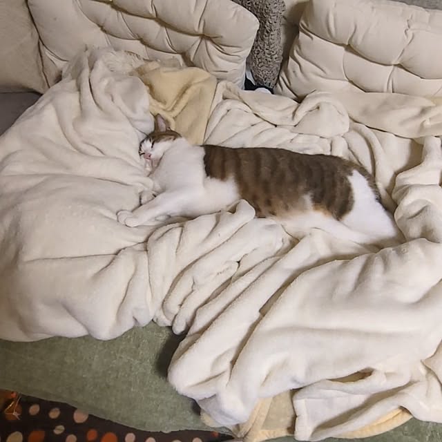 mori_6_12さんの部屋