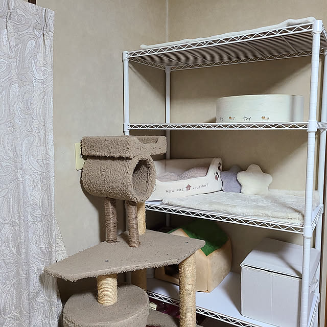 korakoさんの実例写真