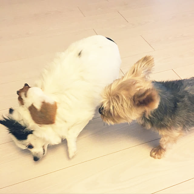 ohanaさんの実例写真