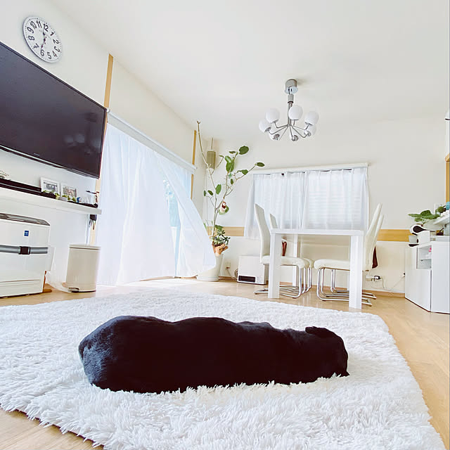 minu5656さんの実例写真