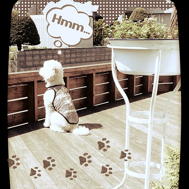 misaさんの実例写真
