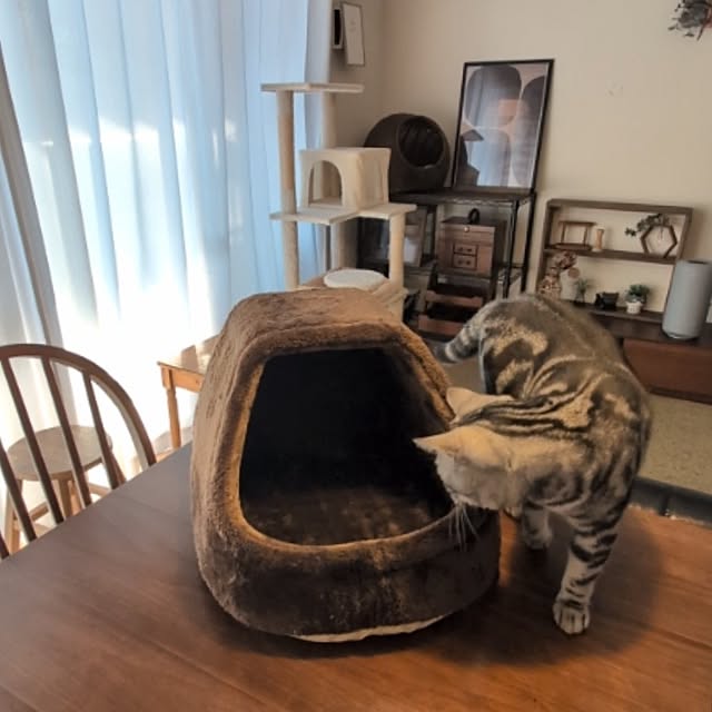 lovepeaceさんの部屋