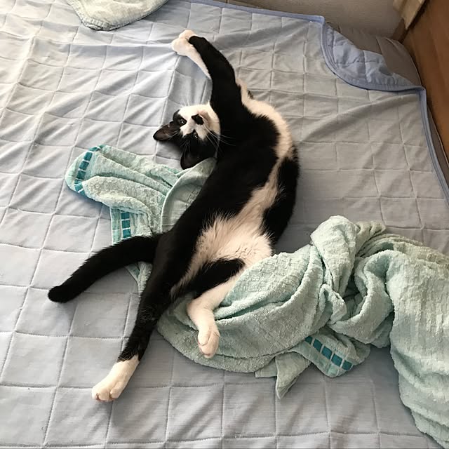 kazaneさんの実例写真