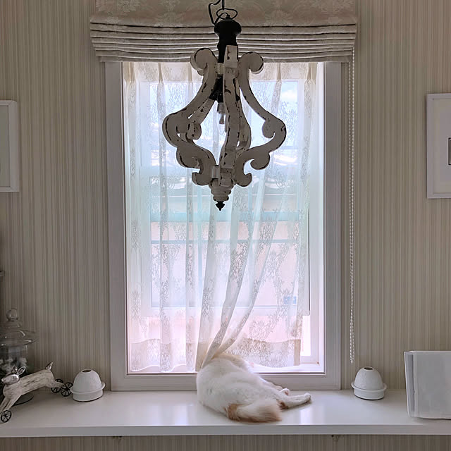 yuchiさんの実例写真