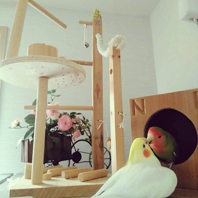 toratanさんの実例写真