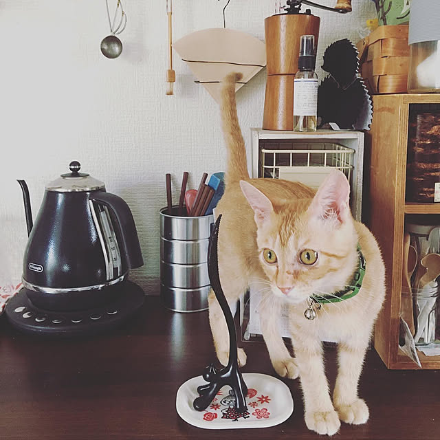 amaさんの実例写真