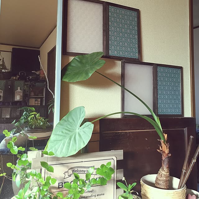 Norikoさんの実例写真