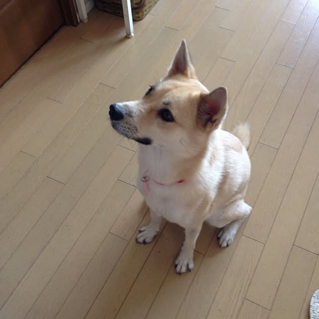 leonaさんの実例写真