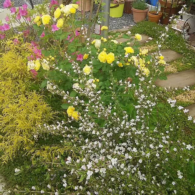 sachi.0307さんの実例写真