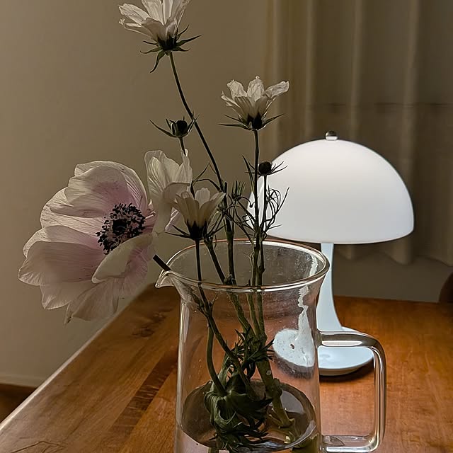 nolleyさんの部屋