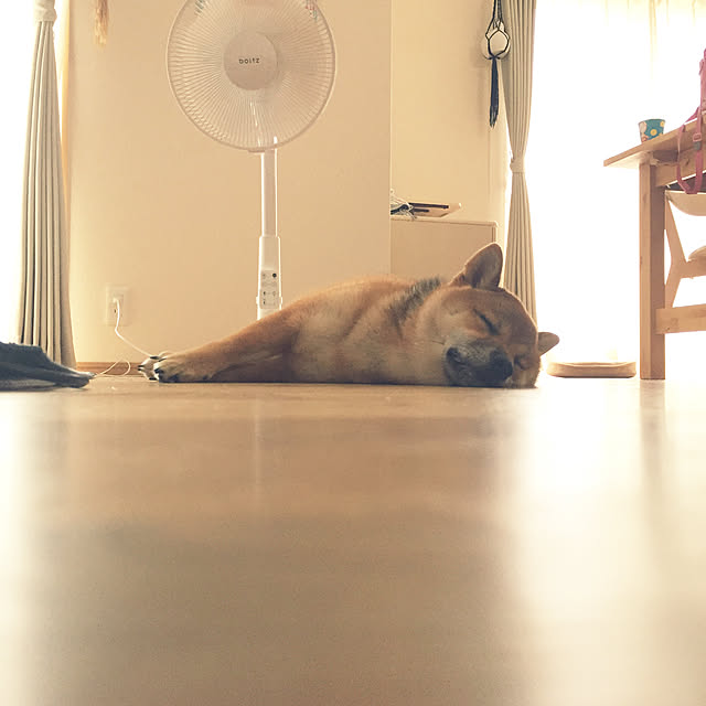 yunamiriさんの実例写真