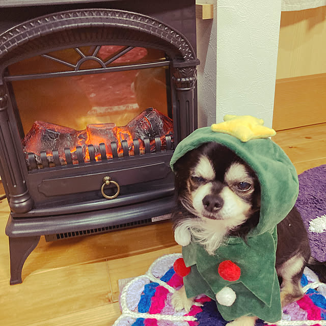 saeさんの実例写真