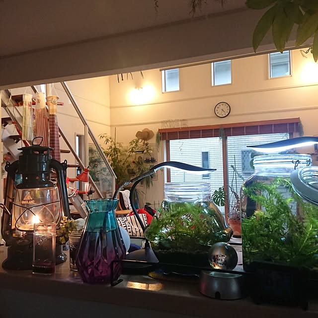 urchinさんの部屋
