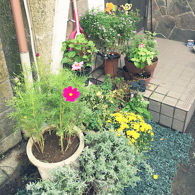 Harumiさんの実例写真