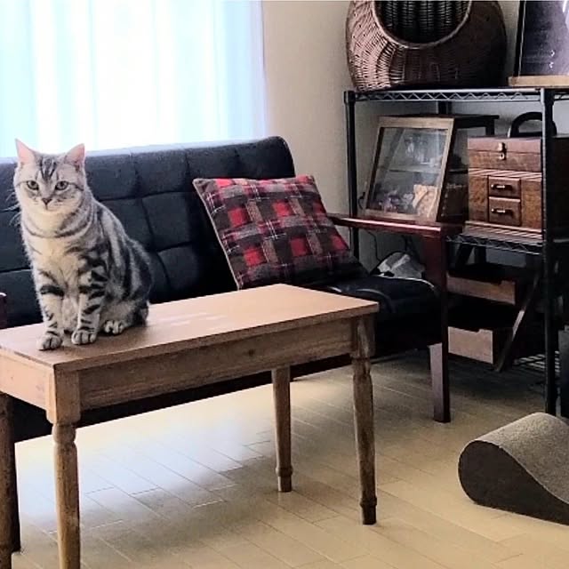 lovepeaceさんの実例写真