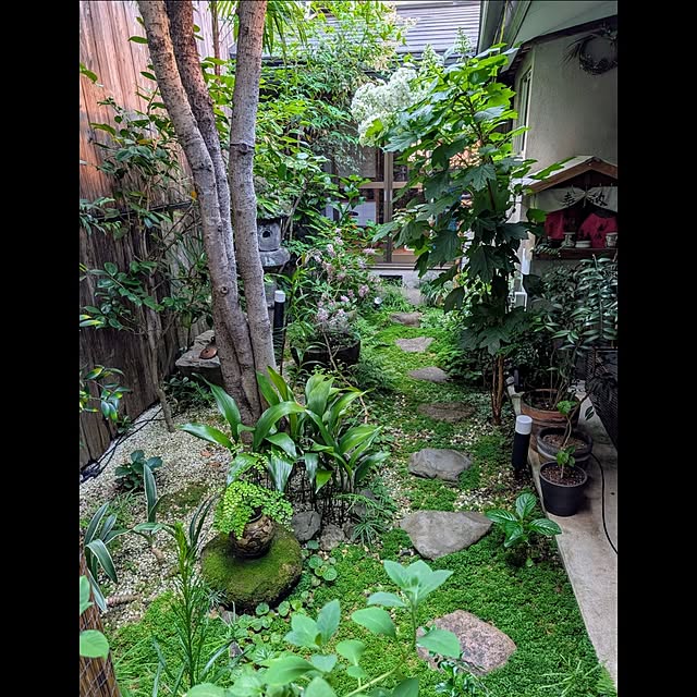 aromameさんの実例写真