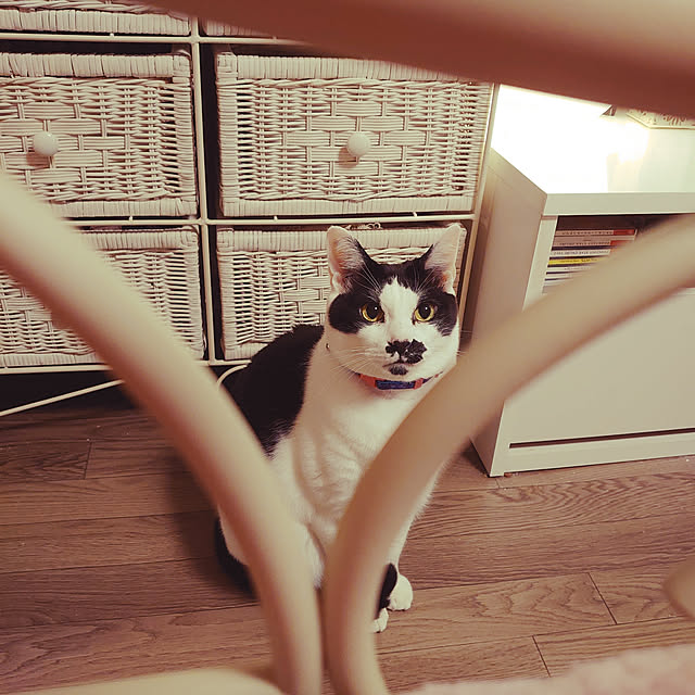 asuminさんの実例写真