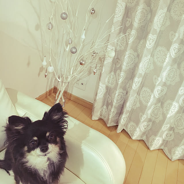 cocoさんの実例写真