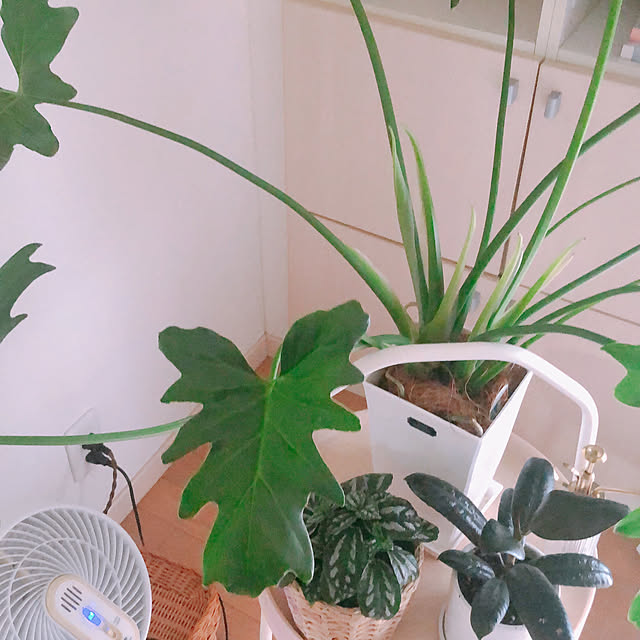 milkcocoaさんの部屋