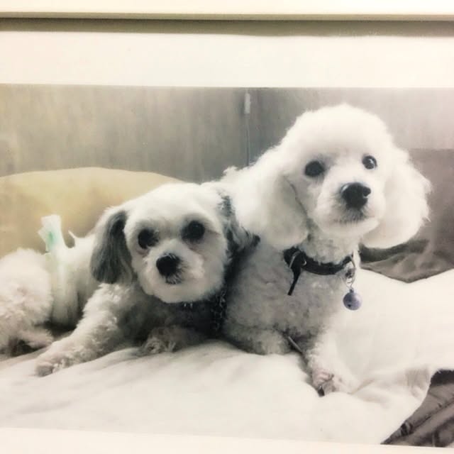 Chinatsuさんの実例写真