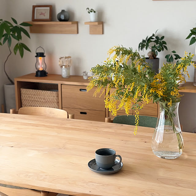 Anthuriumさんの実例写真