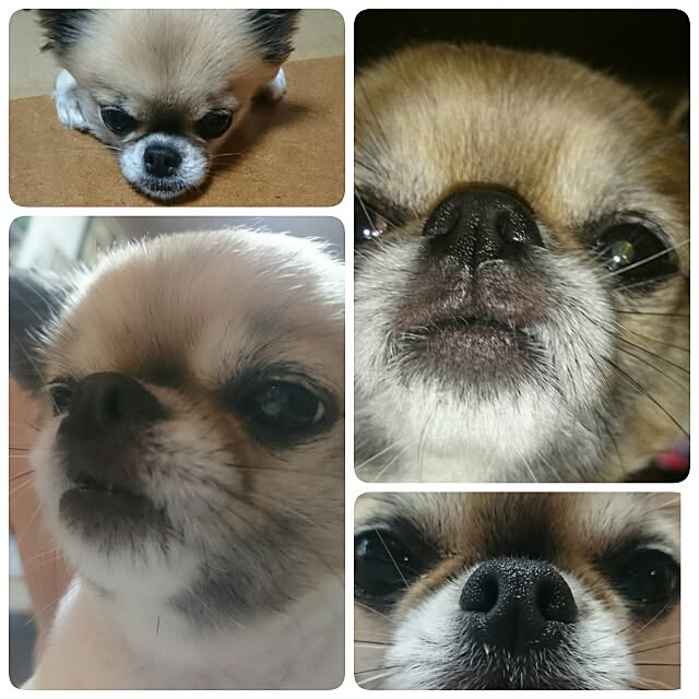 hiro1244さんの実例写真