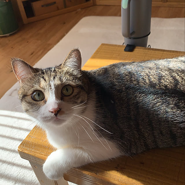 rioさんの実例写真