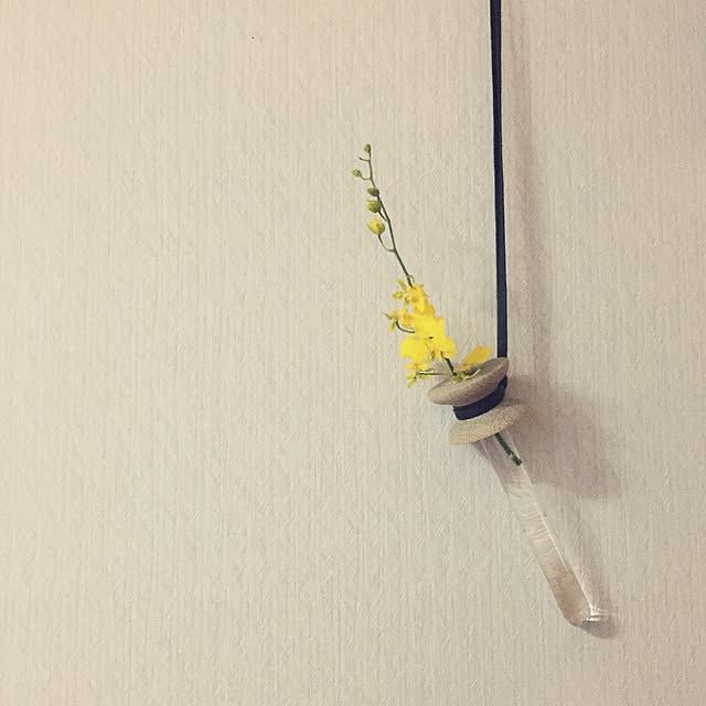 yuki___etoさんの実例写真