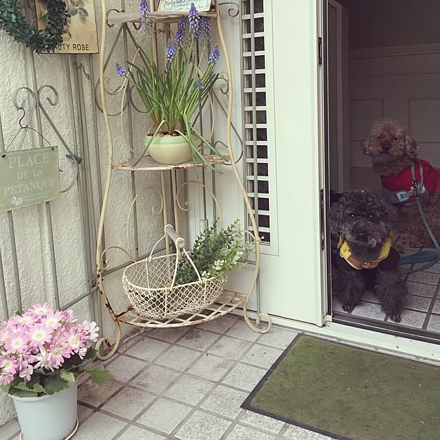 greenroseさんの実例写真