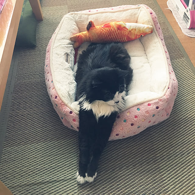 kanaさんの実例写真