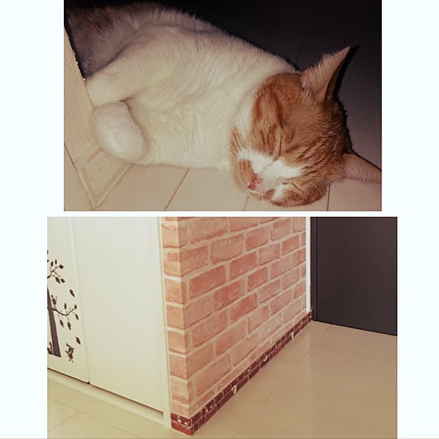 nyanyakoさんの実例写真