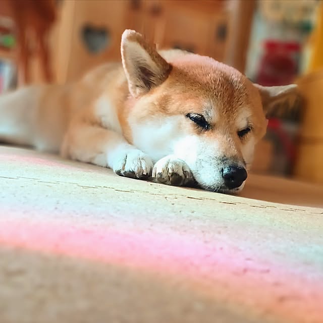 nanaさんの部屋