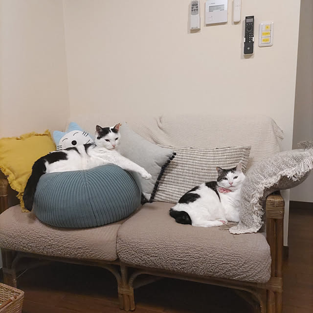 yuuさんの実例写真