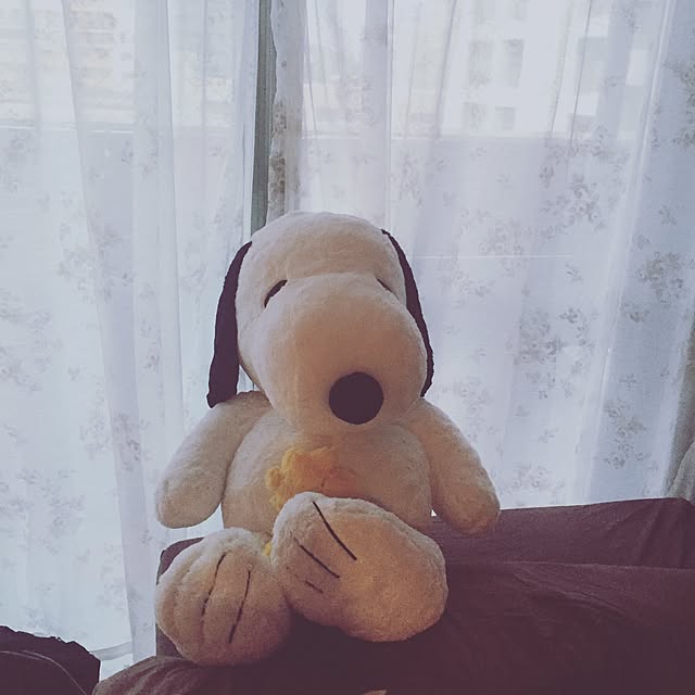 Ayakaさんの実例写真